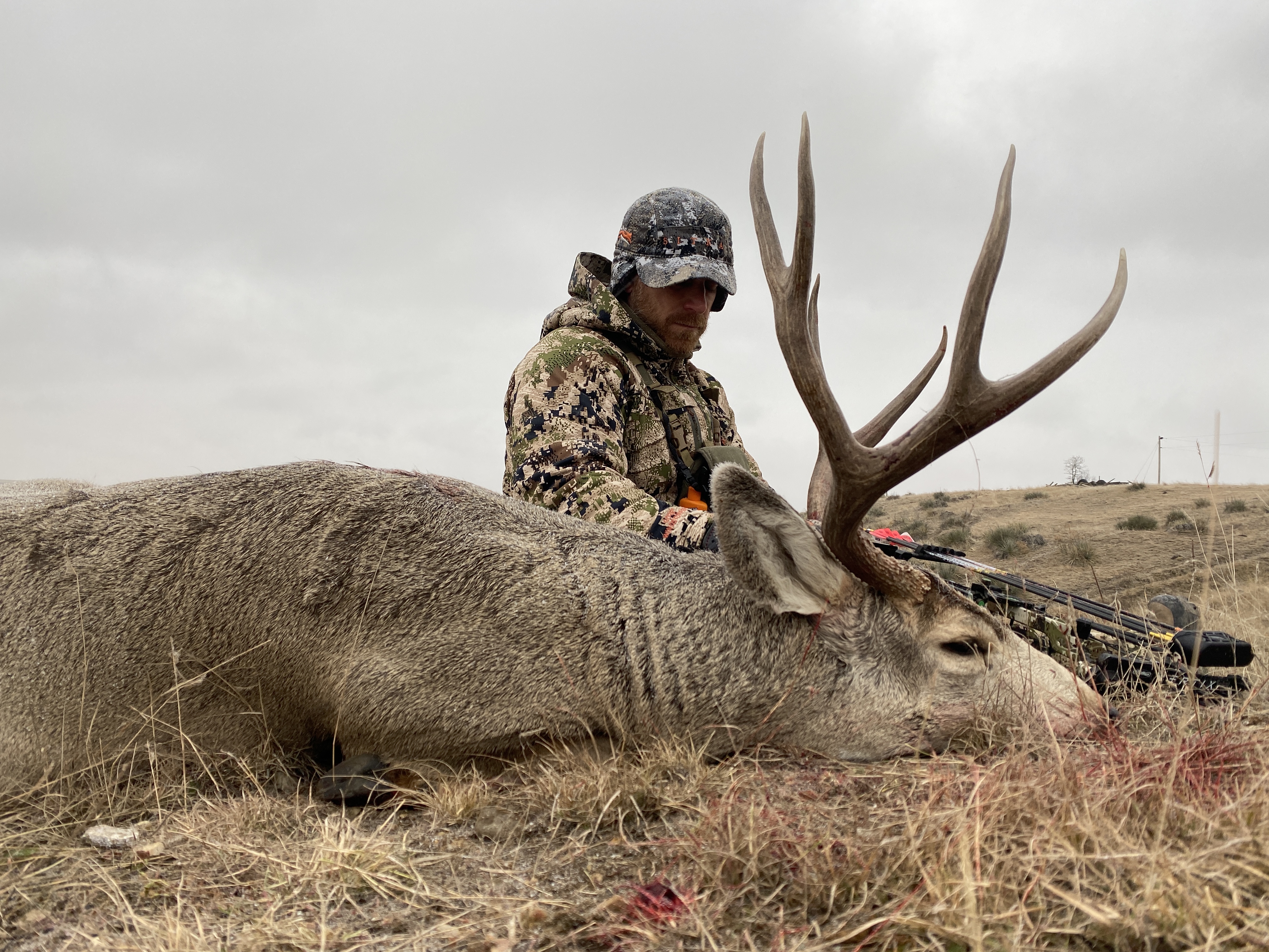 Guided South Dakota Mule Deer hunts