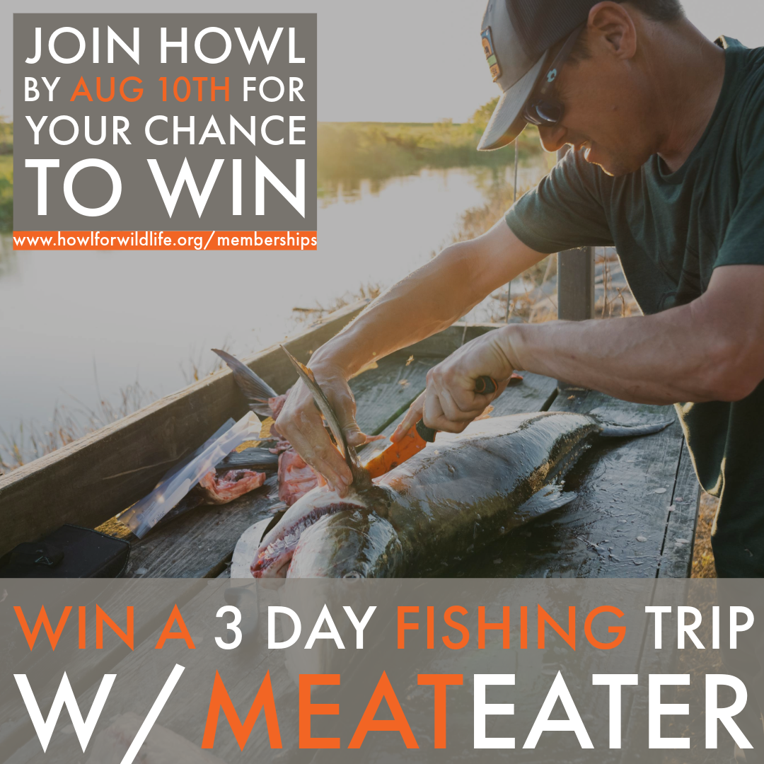 Want to Go Fishing with The Meateater Crew?