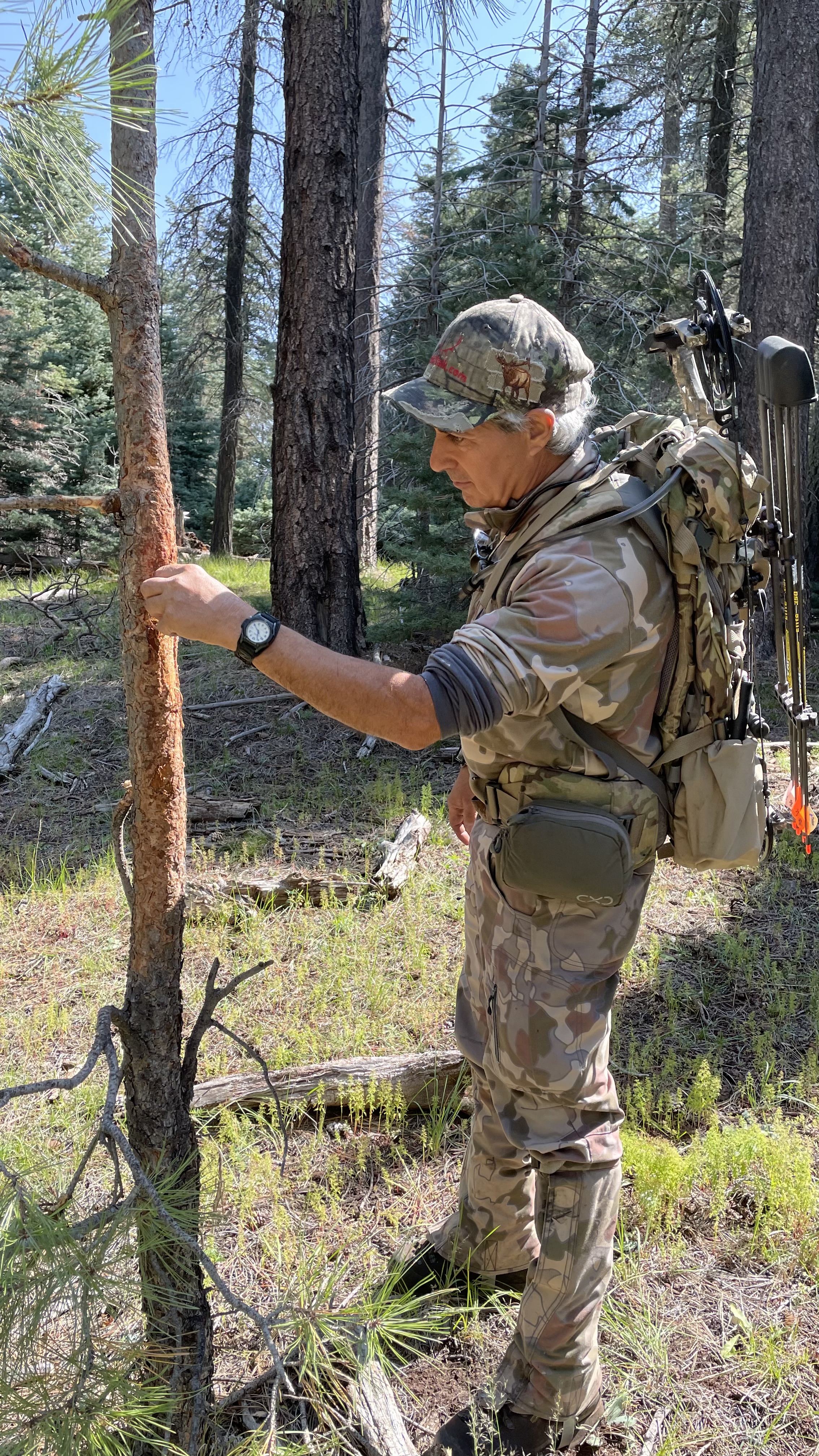 Paul Medel Elk Nut Podcast episodes