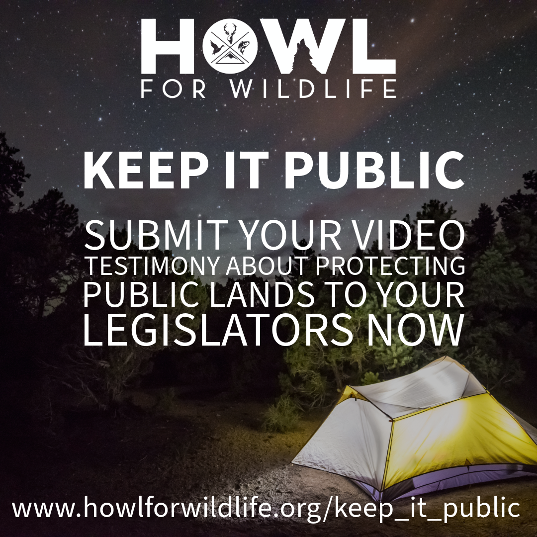 Public Land Grab in Disguise? What You Need to Know About the Quiet Amendment Threatening Utah and Nevada’s Open Spaces