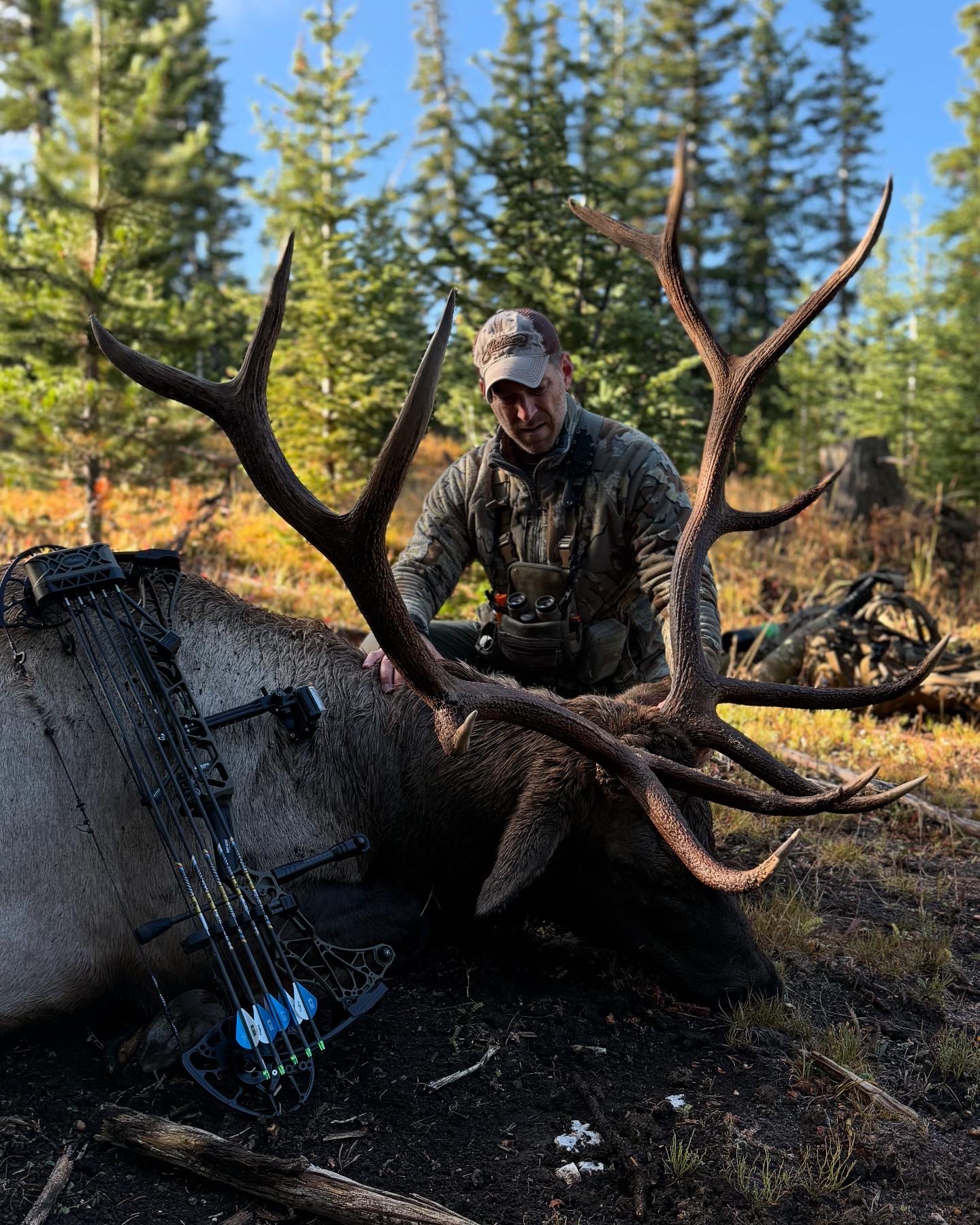 Elk Bolognese – Melanzane