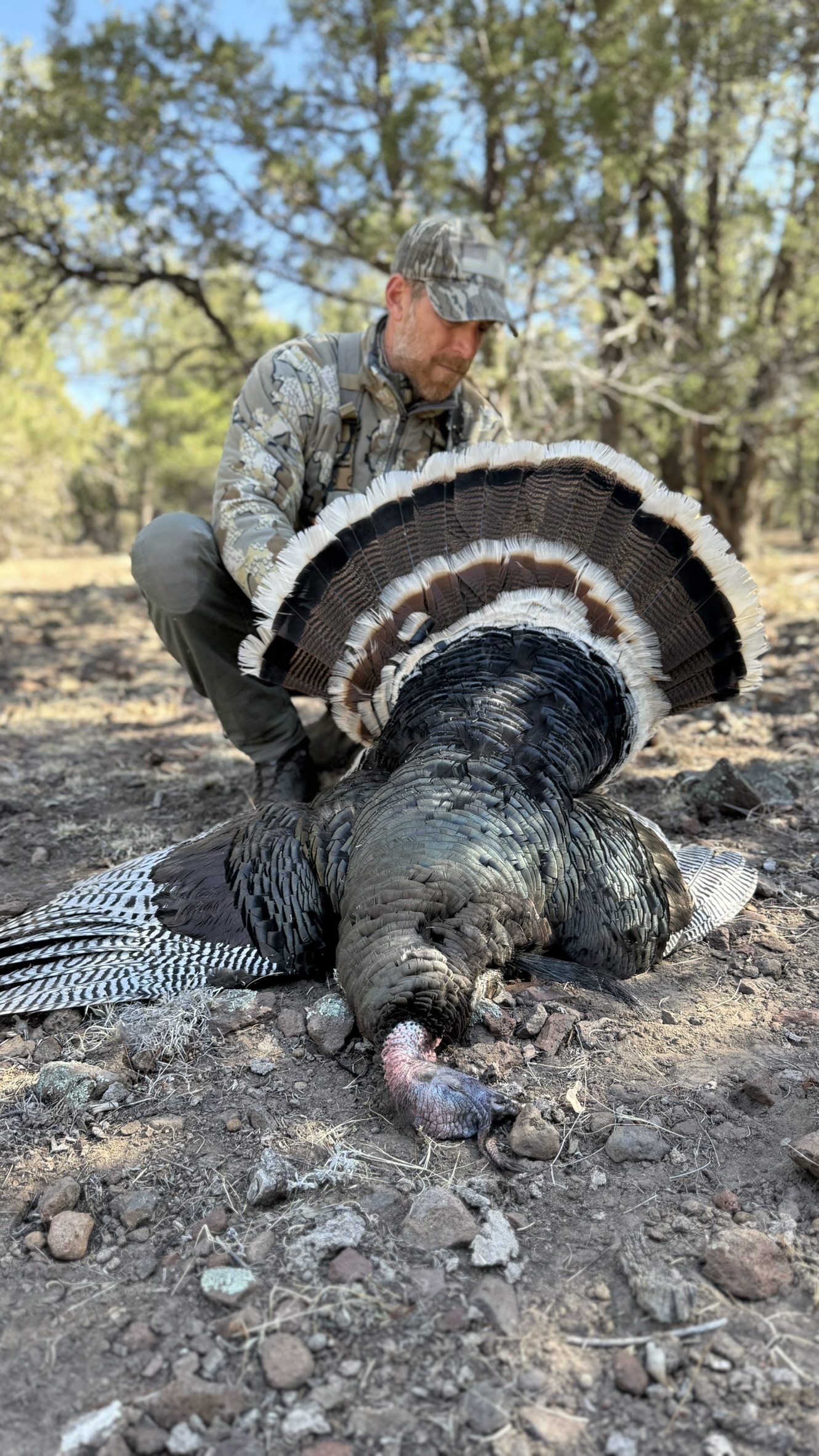 Turkey Season Is Coming: Tactics for the Spring Woods & a Killer Wild Turkey Taco Recipe